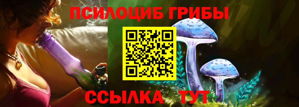 Галлюциногенные грибы Magic Shrooms  Вход с VPN  Баксан 